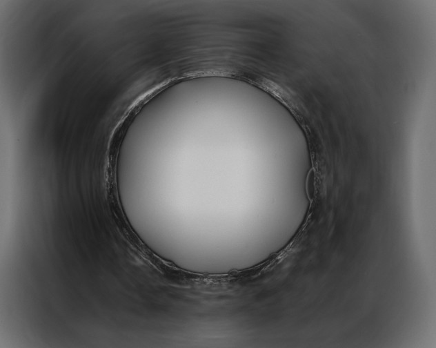 X0000086890338200705071227