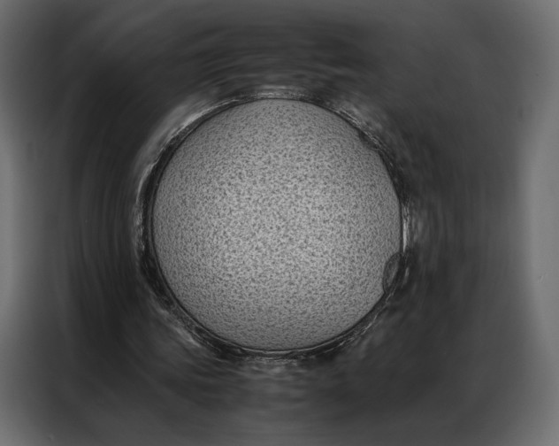 X0000086890339200705071227