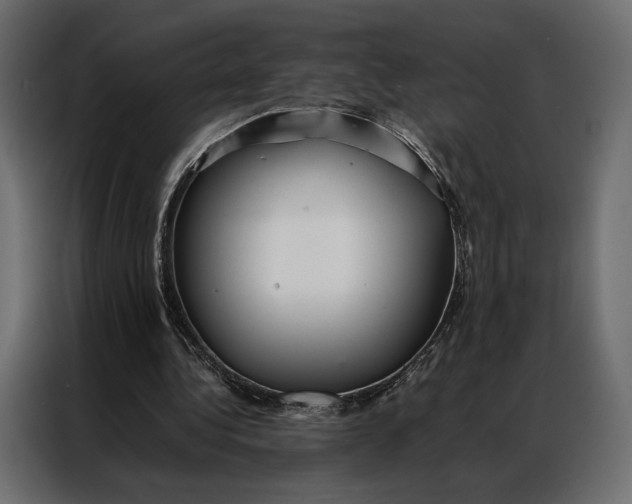 X0000086890340200705071227