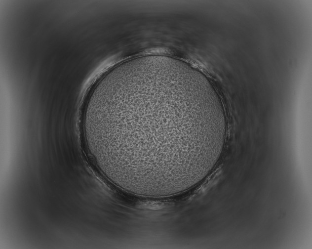 X0000086890341200705071227