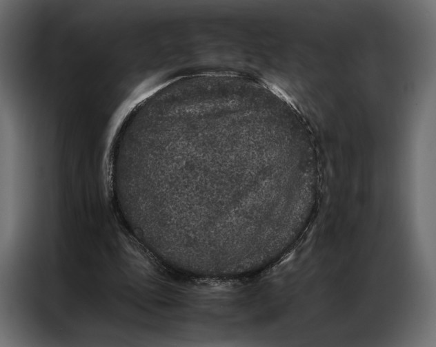 X0000086890343200705071227