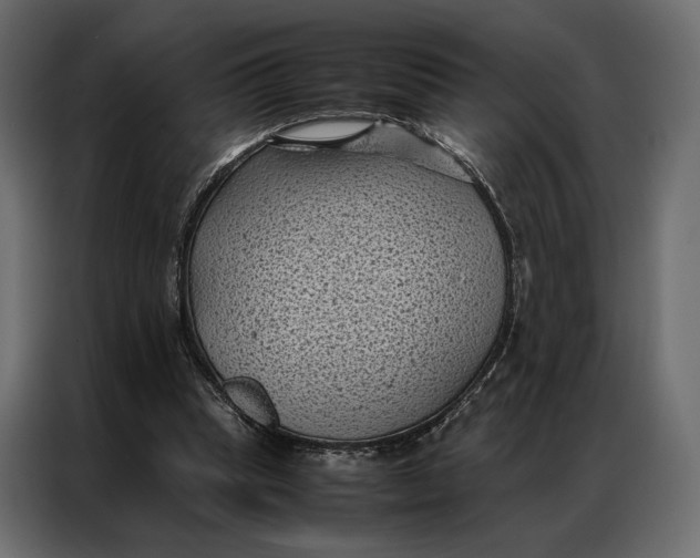 X0000086890345200705071227