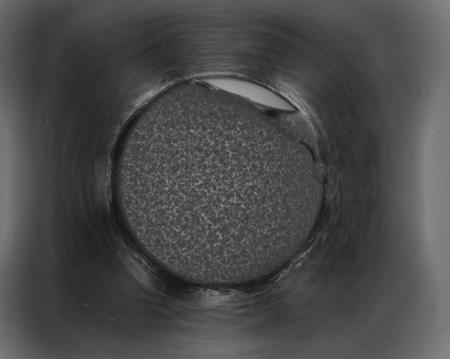 X0000086890346200705071227