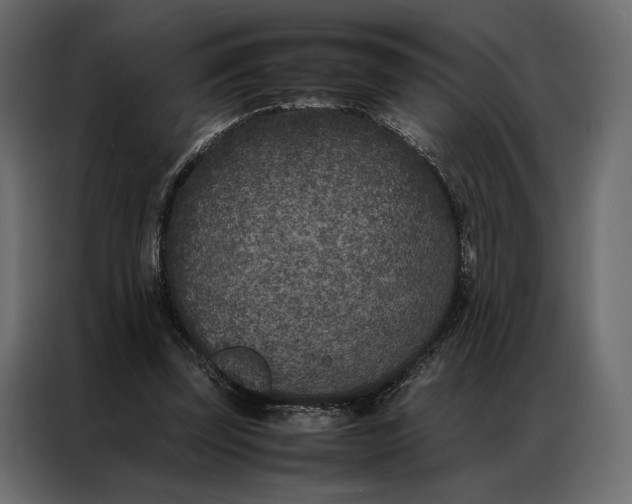 X0000086890347200705071227