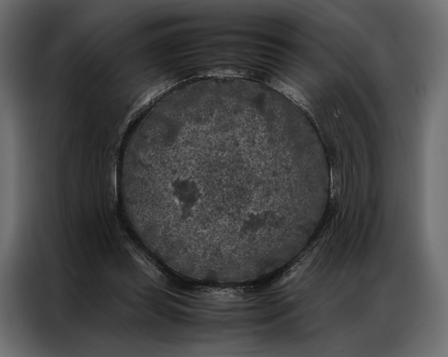 X0000086890349200705071227