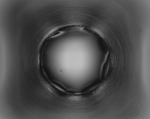 X0000086890350200705071227