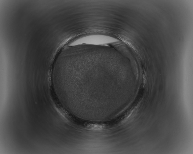 X0000086890352200705071227