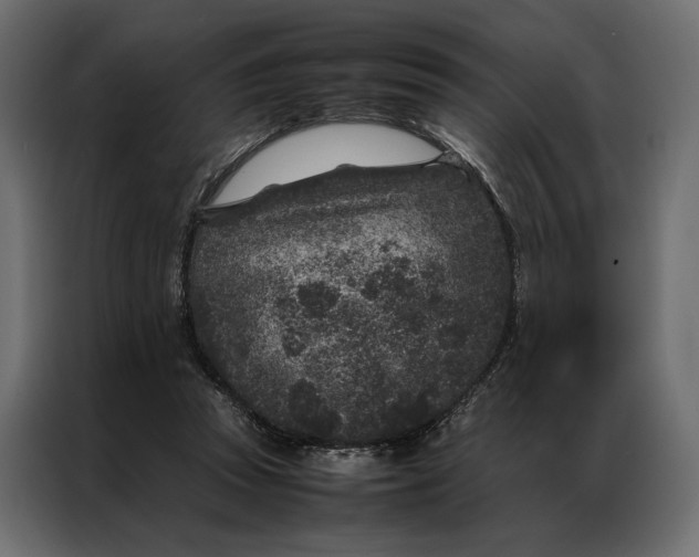 X0000086890353200705071227