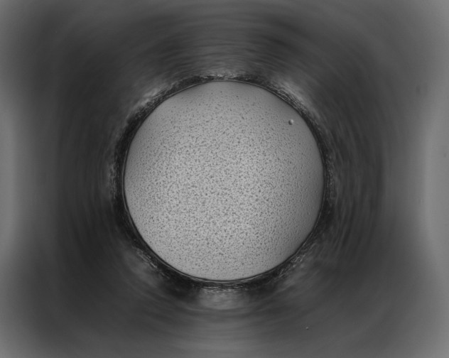 X0000086890354200705071227