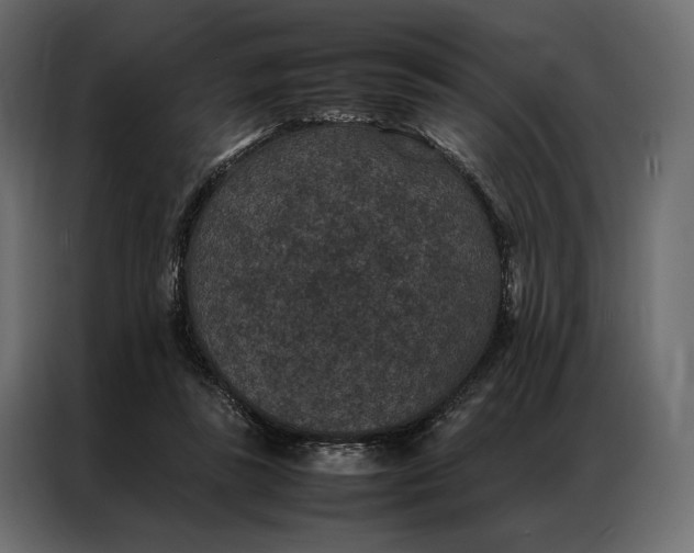 X0000086890355200705071227