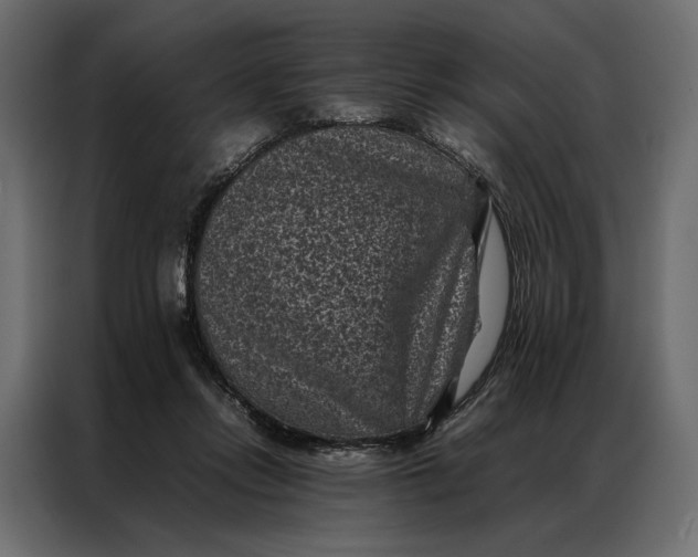 X0000086890358200705071227