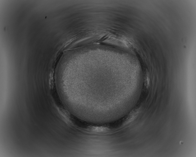 X0000086890360200705071228