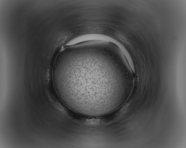 X0000086890362200705071228