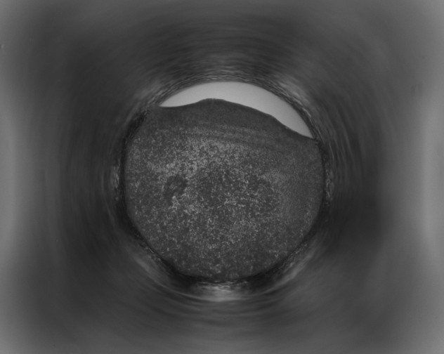 X0000086890365200705071228