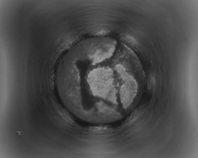 X0000086890366200705071228