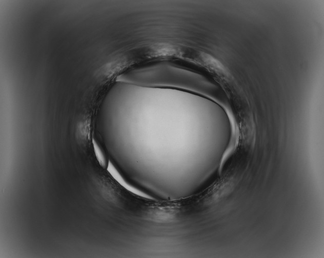 X0000086890368200705071228