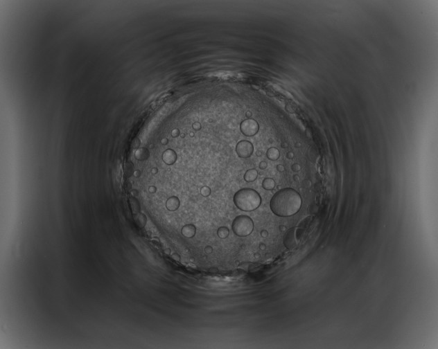 X0000086890375200705071228