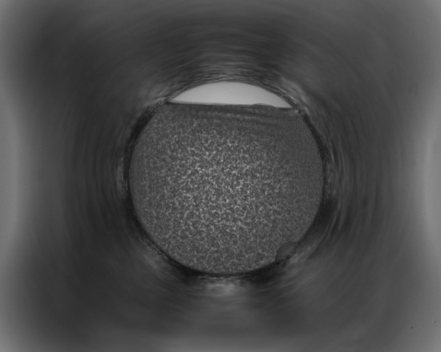 X0000086890377200705071228