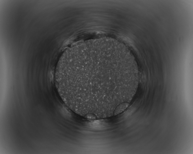 X0000086890382200705071228