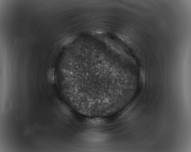 X0000086890383200705071228