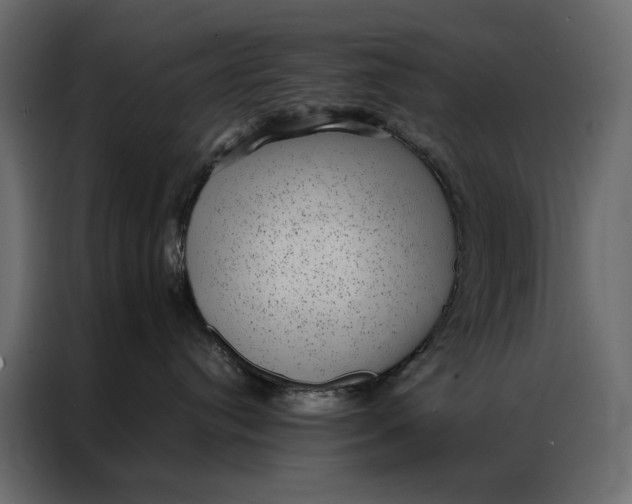 X0000086890384200705071228