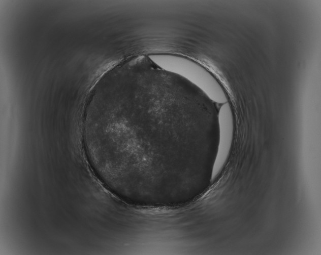 X0000086890385200705071227