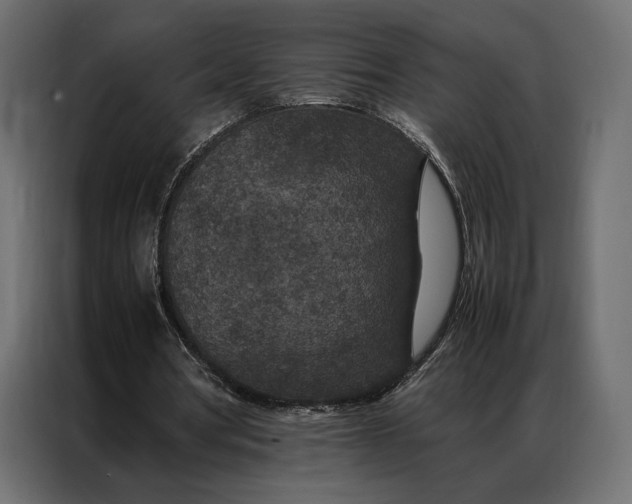 X0000086890386200705071227