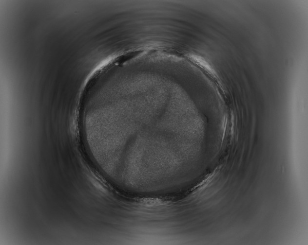 X0000086890392200705071227