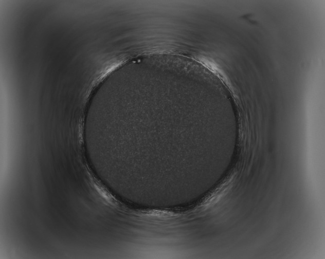 X0000086890393200705071227