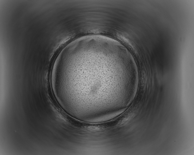 X0000086890394200705071227