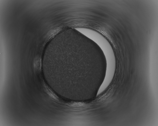 X0000086890397200705071227