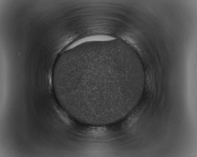 X0000086890398200705071227