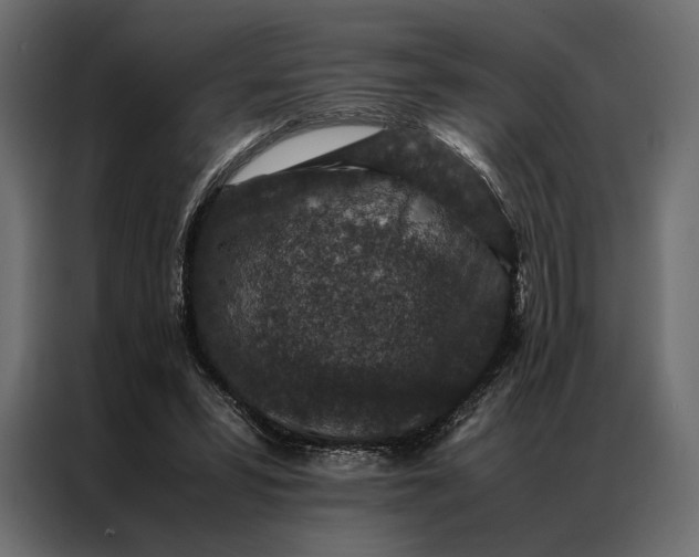 X0000086890399200705071227