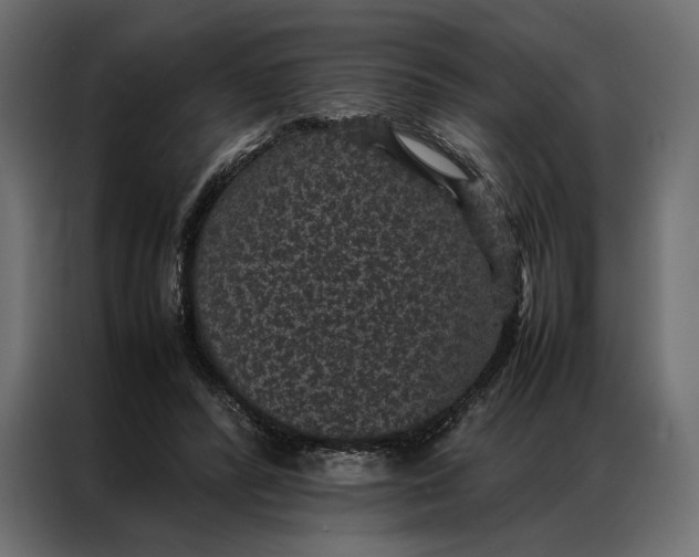 X0000086890400200705071227