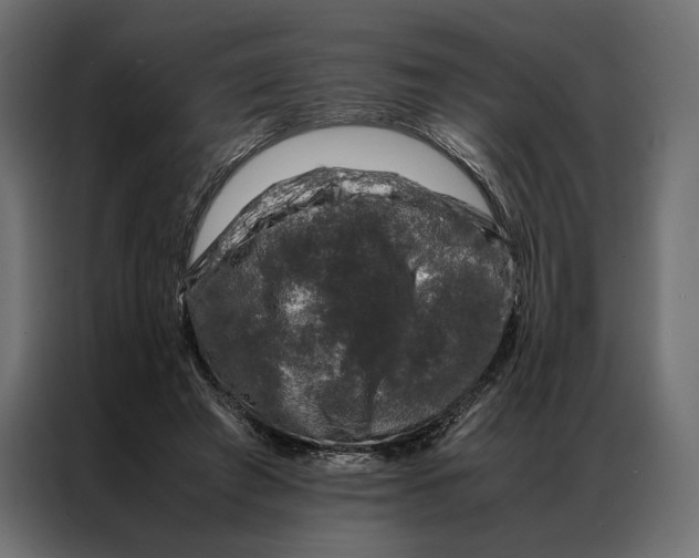 X0000086890401200705071227