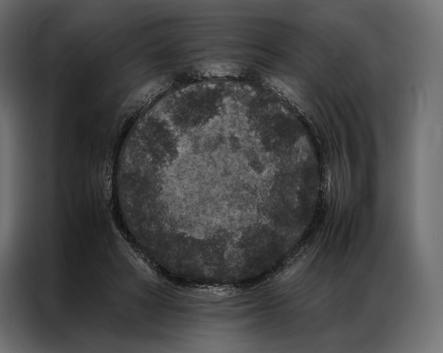 X0000086890402200705071227