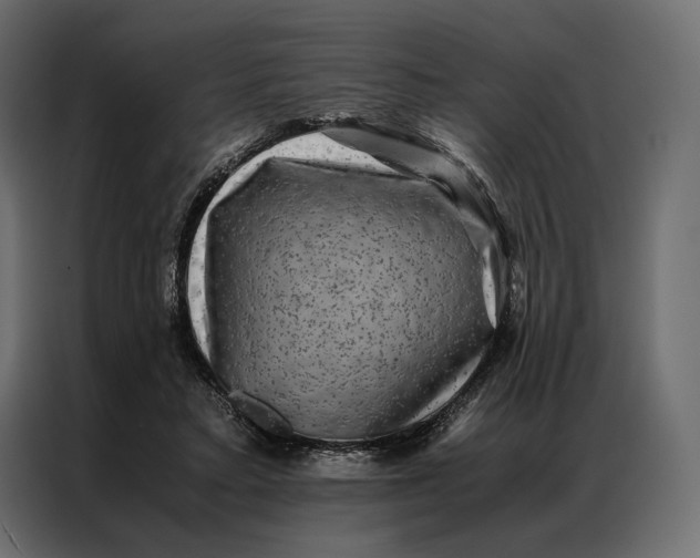 X0000086890403200705071227