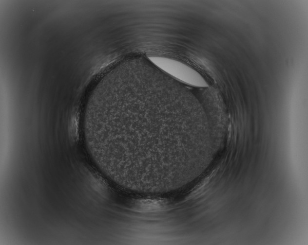 X0000086890404200705071227