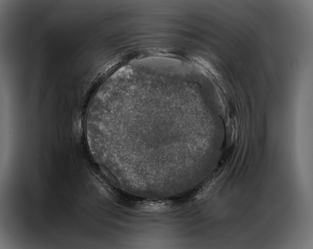 X0000086890405200705071227