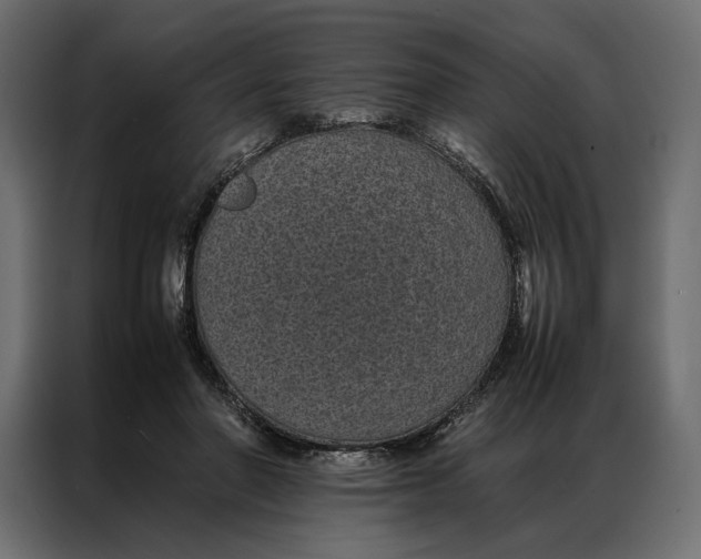 X0000086890406200705071227