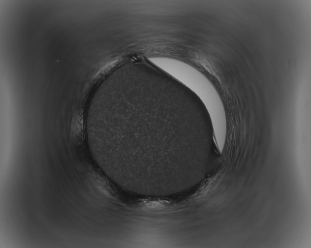 X0000086890407200705071227