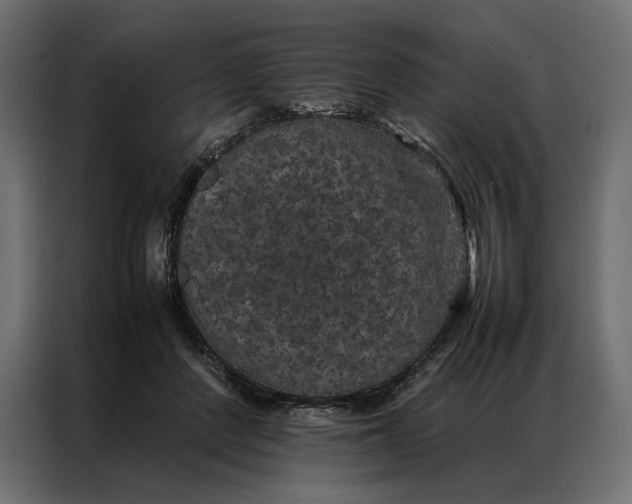 X0000086890408200705071227