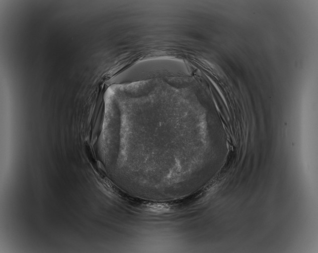 X0000086890409200705071227