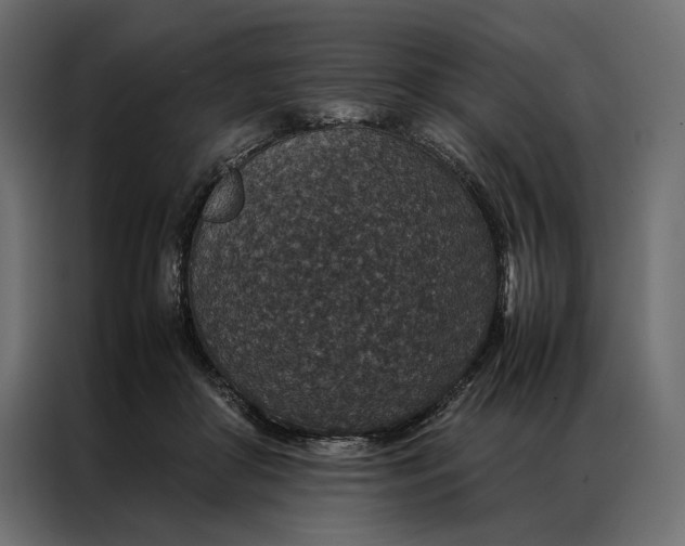 X0000086890410200705071227