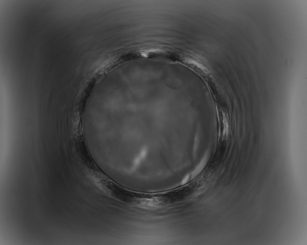 X0000086890411200705071227