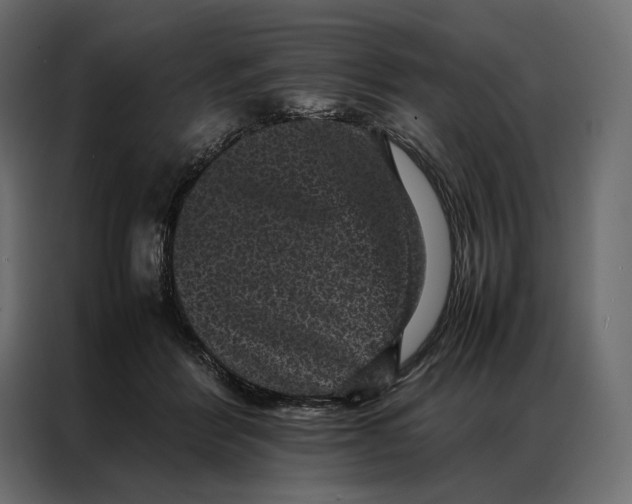 X0000086890412200705071227