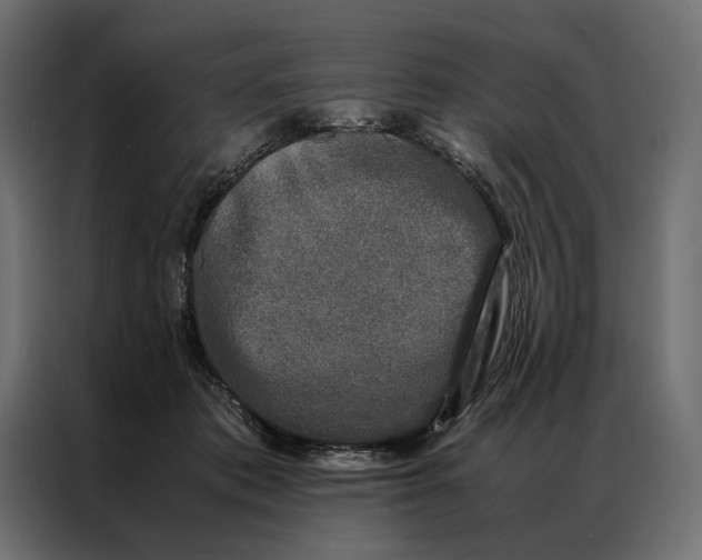 X0000086890413200705071227