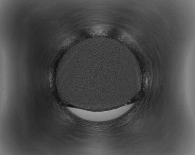 X0000086890416200705071227