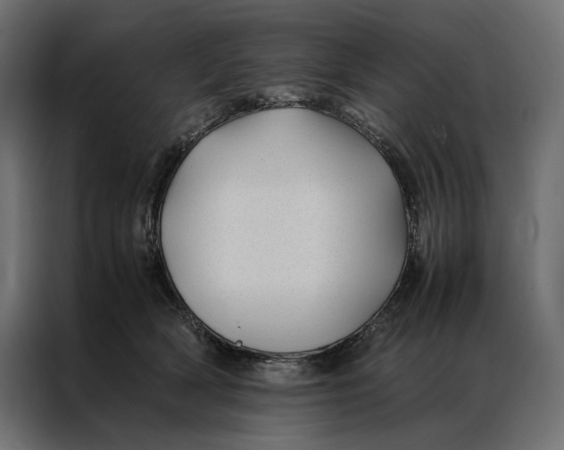 X0000086890418200705071227