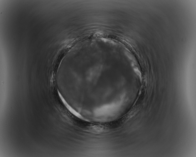 X0000086890423200705071227